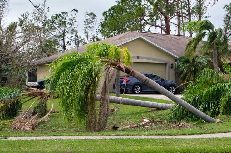 Lunsford Tree Service